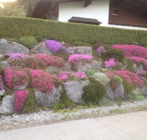 Gartengestaltung Tirol.JPG